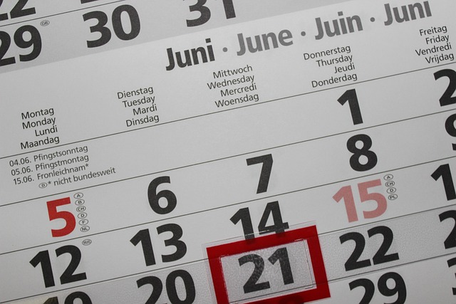 A woman taking a photograph that will be used by the calendar publisher as a monthly image