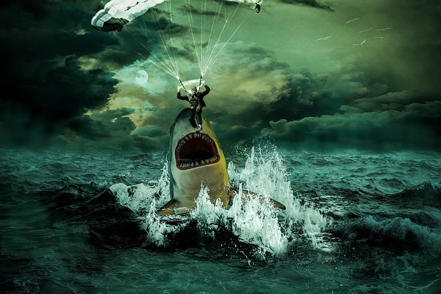 A shark creating conflict for a character in a self-publishing author’s manuscript